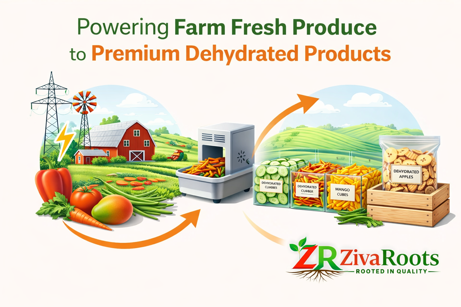 premium dehydrated vegetable powder supplier